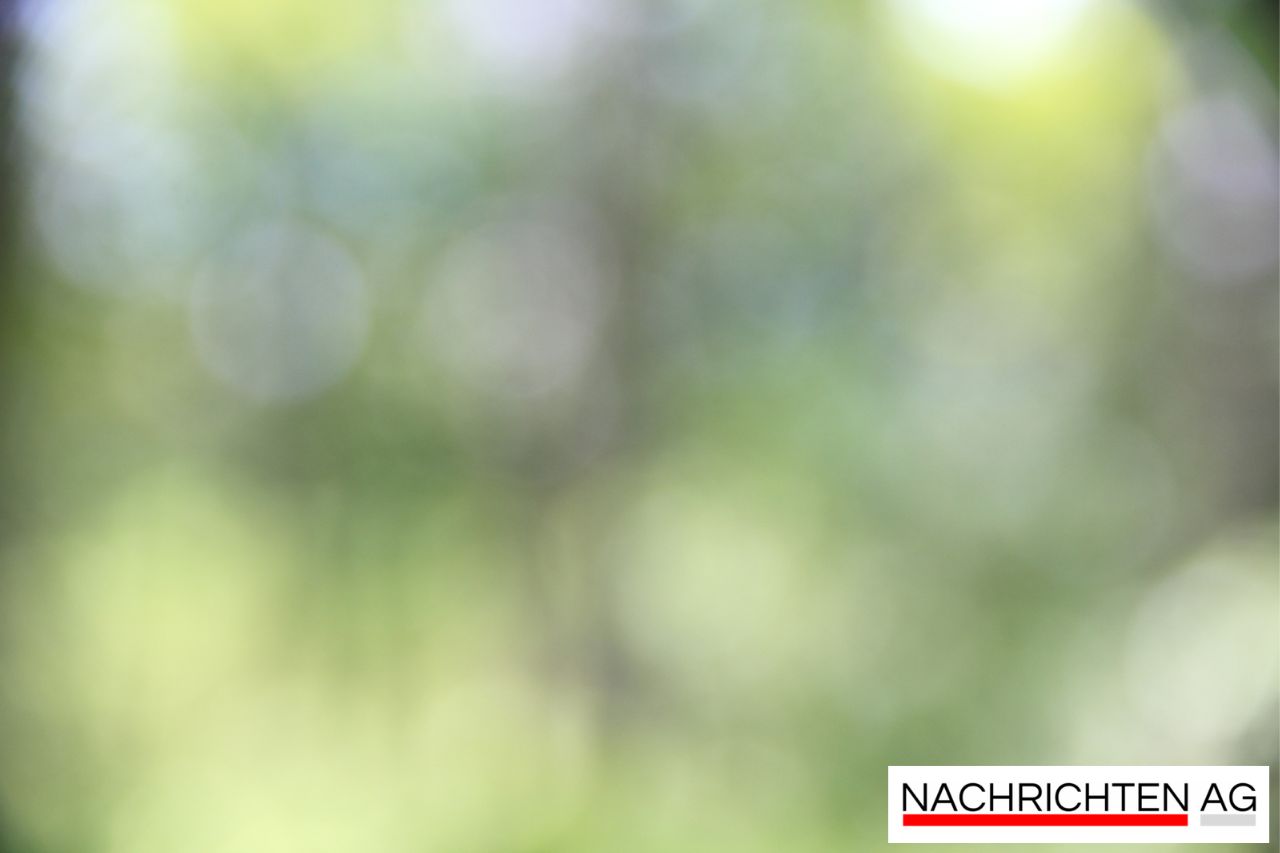 Fahrplanchaos in Hamburg: S1-Störung erfordert kreative Lösungen für Pendler